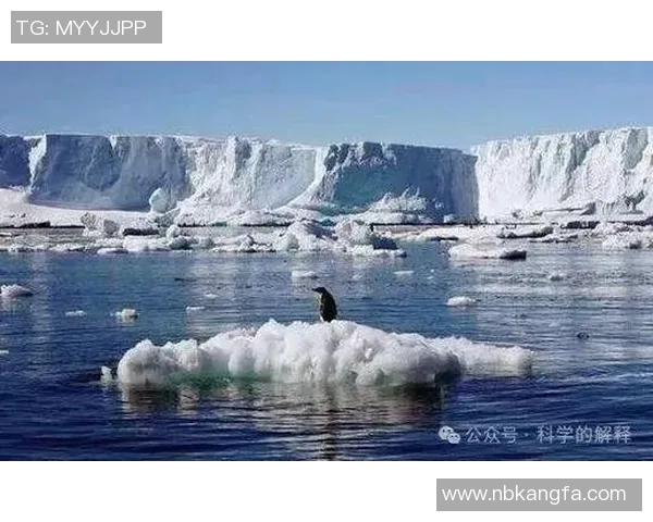 最新研究发现：全球气候变化加剧对生态系统影响严重 预计未来十年环境灾难频发